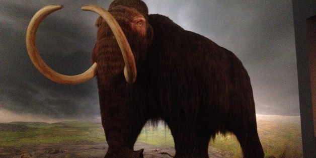 Royal BC Museum