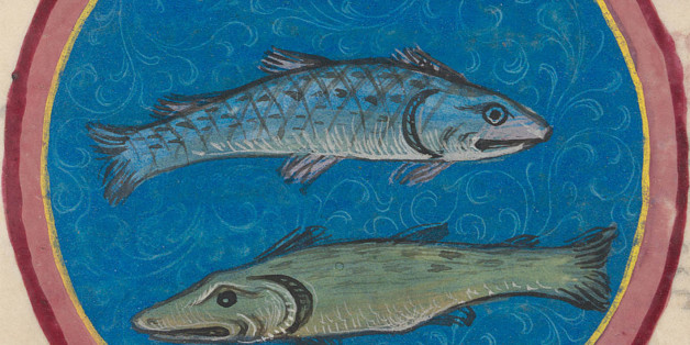 <i>The zodiac sign of <b>PISCES</b> is associated with the month of February and it is represented by two fish. In most of standard iconographic compositions, the two fish are represented nearly always swimming in opposite directions and are often linked together by a cord from both of their mouths. They usually swim horizontally and in some cases they are mirror images of each other. Water or other decoration is sometimes shown around them, but there can also be a blank undecorated area. In the modern horoscope the zodiac sign of <b>PISCES</b> covers the period from about February 19 â March 20.</i>
Link to <a href="http://www.flickr.com/photos/e-codices/sets/72157632877138191/">âZodiac sign of PISCESâ </a> set.
Link to the <a href="http://www.flickr.com/photos/e-codices/collections/72157632414714932/">"Zodiac signs"</a> collection.
<b>Manuscript title:</b> Codex Schürstab
<b>Origin:</b> Nünberg (Germany)
<b>Period:</b> 15th century
<b>Image source:</b> Zürich, Zentralbibliothek, Ms. C 54, p. 21v â Codex Schürstab (<a href="http://www.e-codices.unifr.ch/en/zbz/C0054/24r" rel="nofollow">www.e-codices.unifr.ch/en/zbz/C0054/24r</a>)