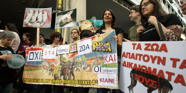 Φωτογραφία αρχείου