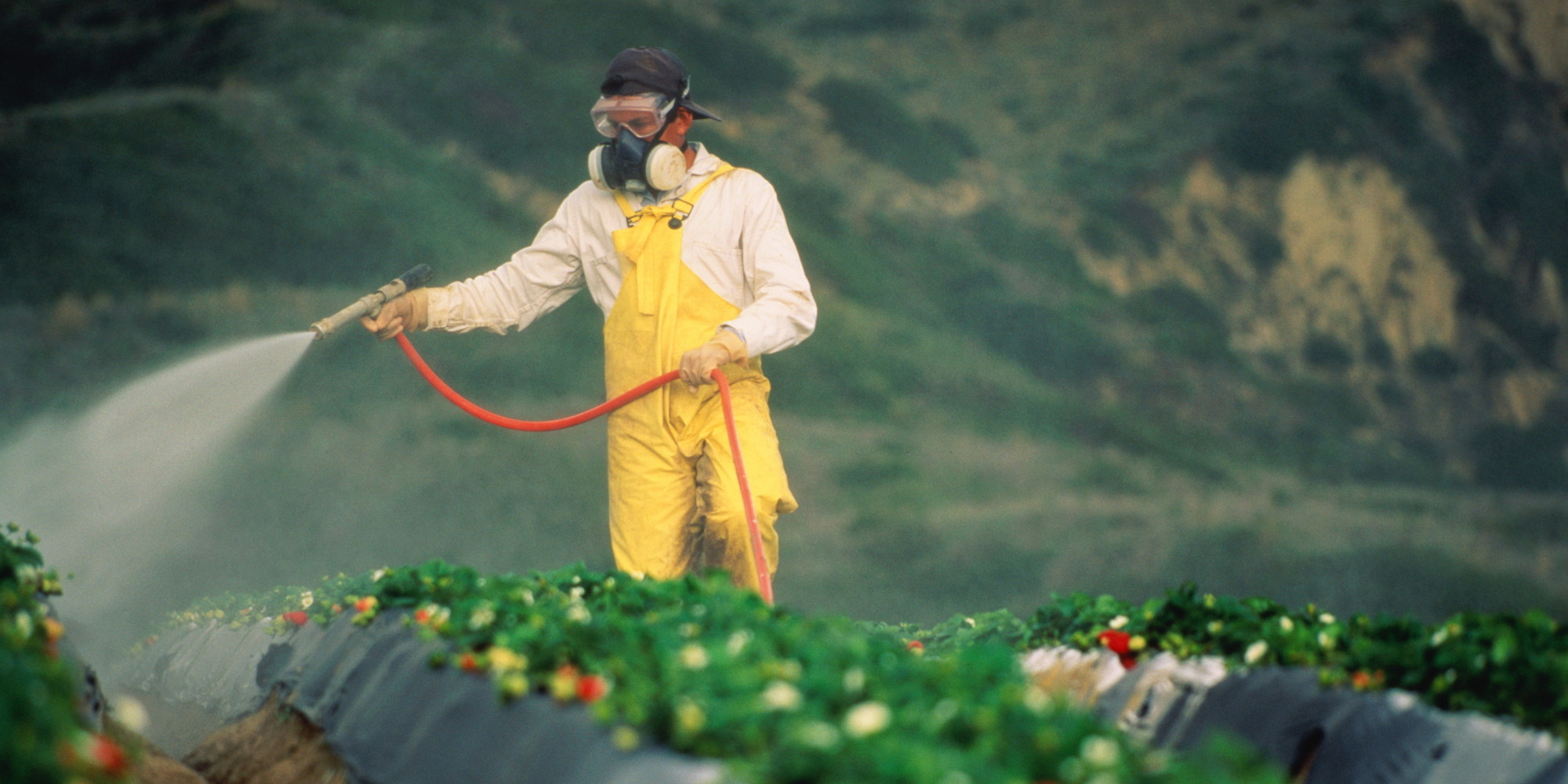 insecticides and pesticides examples