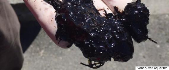 vancouver oil spill