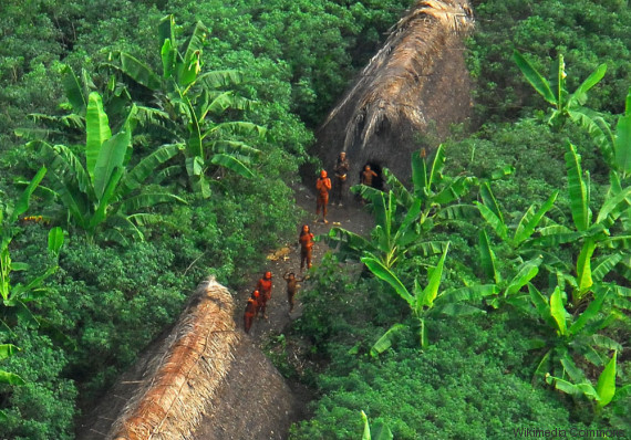 indios isolados