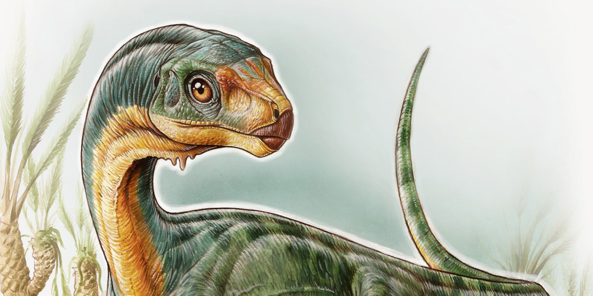 Древние травоядные динозавры