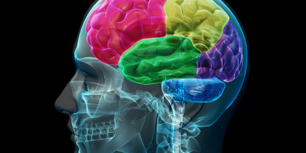 If you use this image, I'd appreciate it if you could credit <a href="http://aboutmodafinil.com" rel="nofollow">aboutmodafinil.com</a> Cheers!