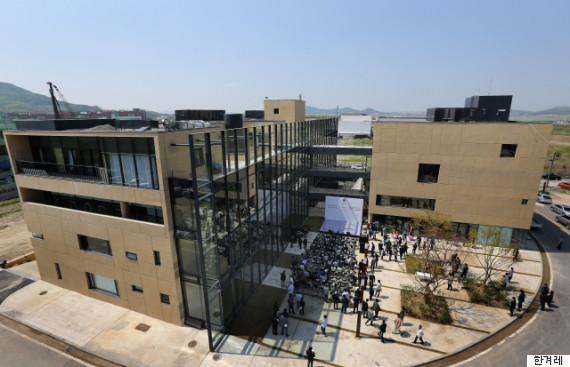 paju