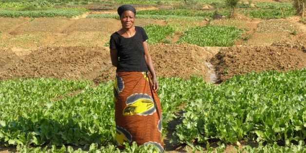 Photo taken by Remi Nono-Womdim, FAO, July 2010