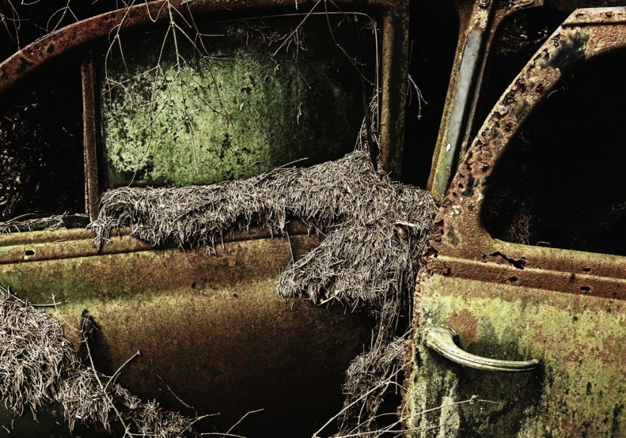 Des PHOTOS magiques de voitures abandonnées