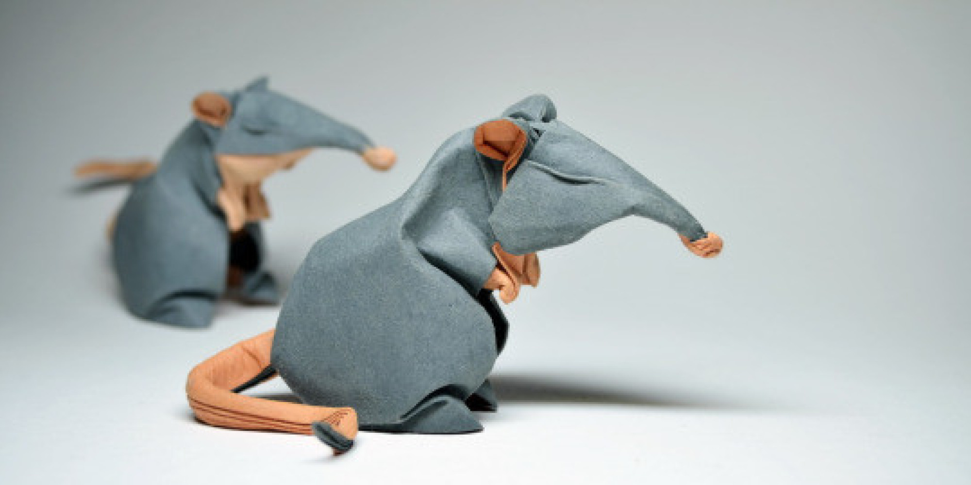 'Wet' Origami Artist Turns Damp Paper Into Sculptures HuffPost