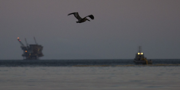 GOLETA, CALIFORNIA - MAY 19: A California brown pelican flies over an oil slick in the ocean off Refugio State Beach as an oil platform (L) and a boat deploying a boom to contain the oil are seen in the distance on May 19, 2015 north of Goleta, California. About 21,000 gallons spilled from an abandoned pipeline on the land near Refugio State Beach, spreading over about four miles of beach within hours. The largest oil spill ever in U.S. waters at the time occurred in the same section of the coast where numerous offshore oil platforms can be seen, giving birth to the modern American environmental movement. (Photo by David McNew/Getty Images)