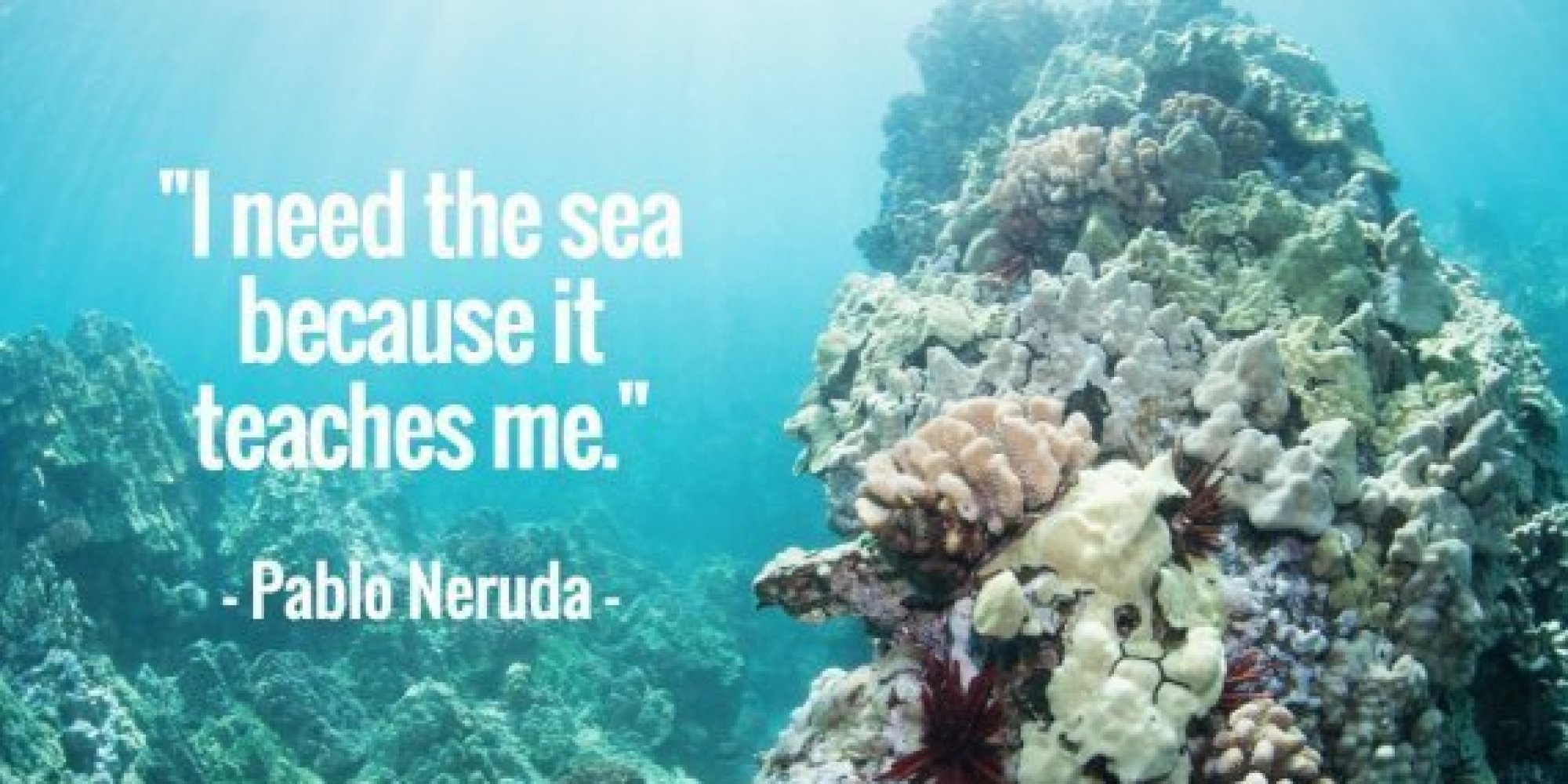 11 Quotes About The Ocean That Remind Us To Protect It | HuffPost