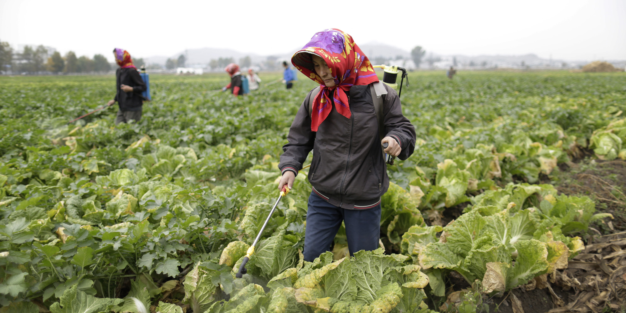 North Korea  Suffers Worst Drought In 100 Years HuffPost