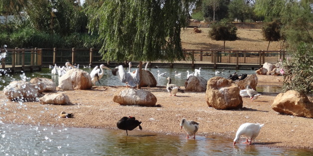 Zoo of Rabat