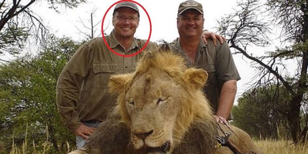 PHOTO. Le lion Cecil tué au Zimbabwe : son chasseur "regrette que son activité" ait "conduit à la mort" de l'animal