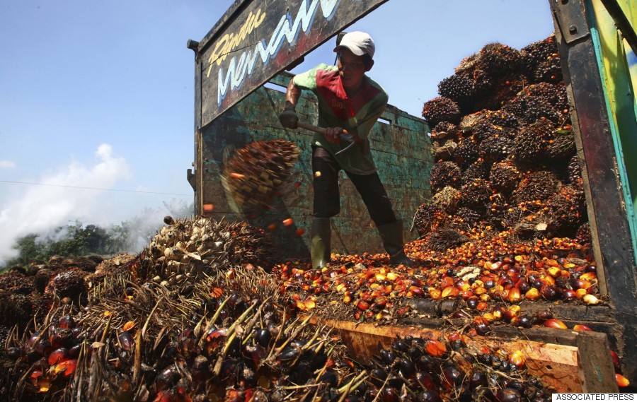 palm oil