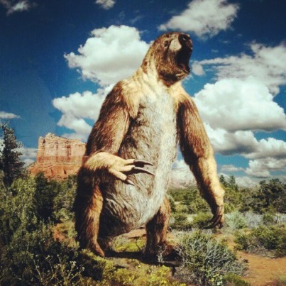 ground sloth