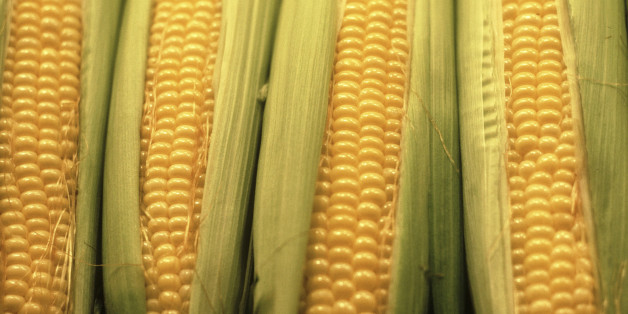 Corn on the cob