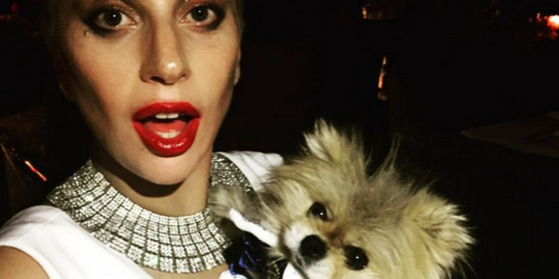 Lady Gaga mit dem "heißesten Mann der Welt"