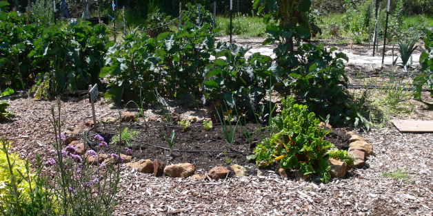 Permaculture for the PeopleMovement GenerationOccidental Arts & Ecology Center