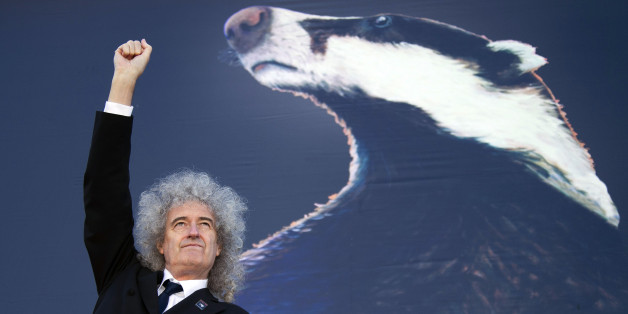 CORRECTS SPELLING OF GESTURES British musician Brian May gestures as he stands on a cherry picker to launch the national Team Badger campaign, in front of a giant billboard, on Cromwell road, west London, Wednesday, Sept. 19, 2012. A rock star is facing off against British farmers, over badgers. The government has issued licenses for the country's first badger cull, and soon snipers will be roaming in search of the animals. But Queen guitarist Brian May is leading a band of badger defenders vowing to stop them. (AP Photo/Joel Ryan)