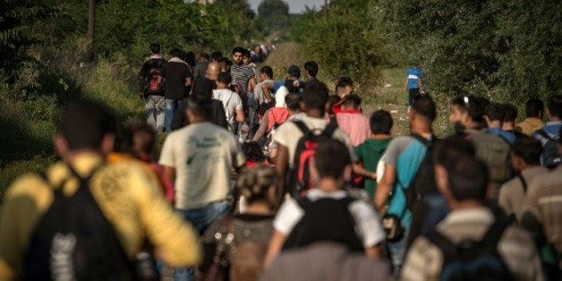 Flot des migrants le 28 août 2015 près de la ville serbe d'Horgos à la frontière avec la Hongrie