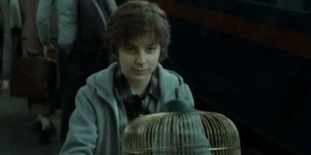 Devinez quelle maison a rejoint le fils de Harry Potter?