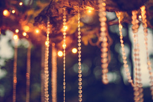 wedding party