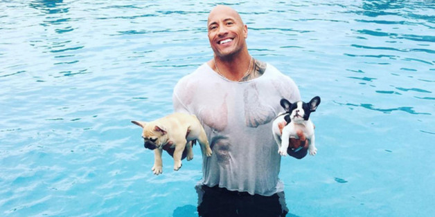 Dwayne "The Rock" Johnson liebt seine Hunde