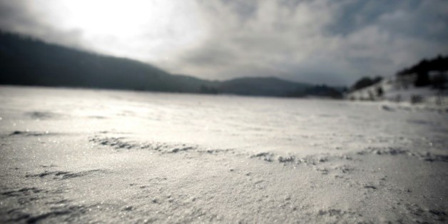 Un virus géant vieux de 30.000 ans trouvé dans les sols gelés en permanence (permafrost) de Sibérie