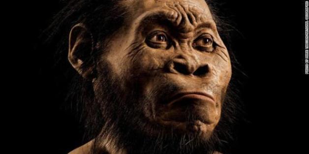 Homo naledi, une ancienne espèce inconnue du genre humain découverte en Afrique du sud