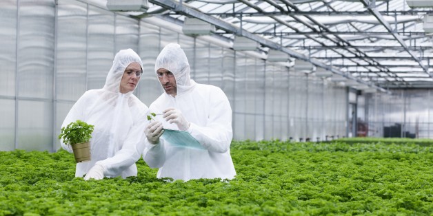 Agrochemiekonzerne werden oft untersucht.