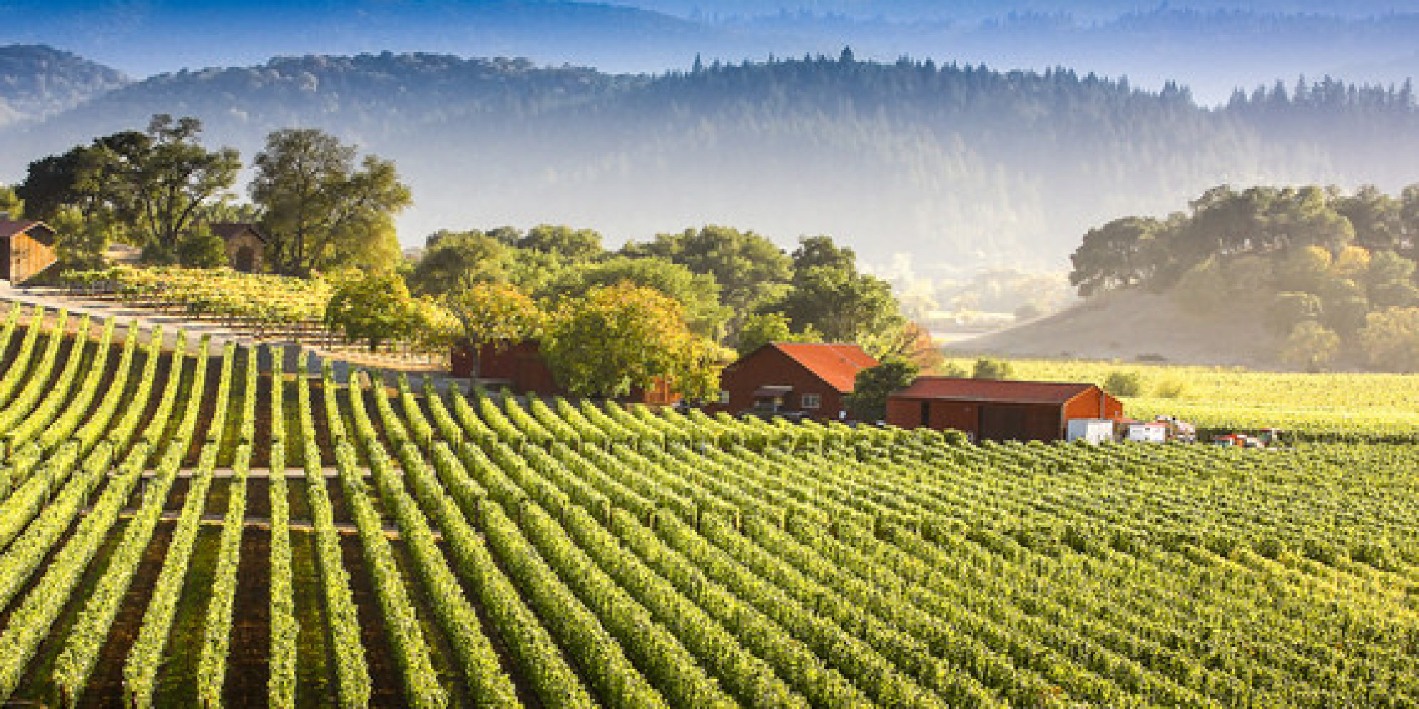 5 Unexpected Finds in Napa Valley HuffPost