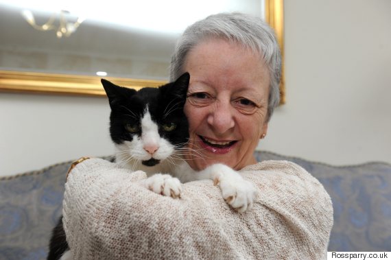 Woman Says Cat 'Saved Her Life' After Detecting Cancerous Lump In Her Neck