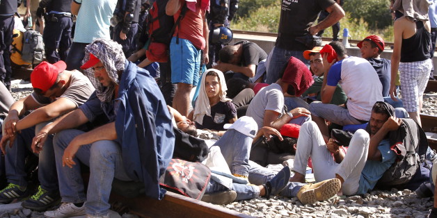 Ungarn startet Bau von Zaun an der Grenze zu Kroatien
