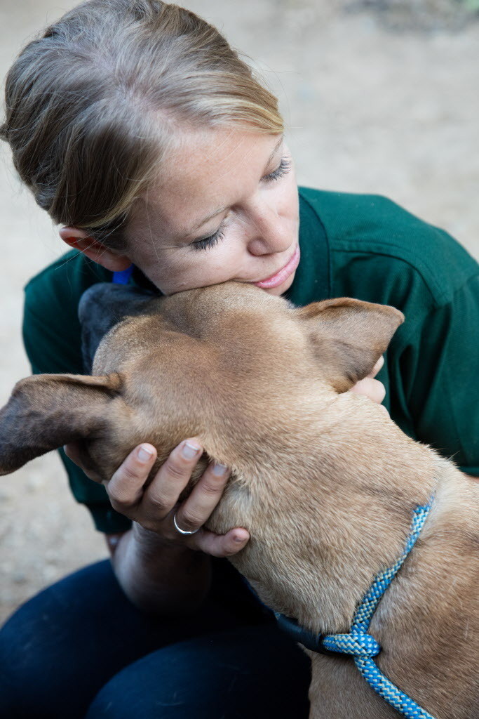 humane society international