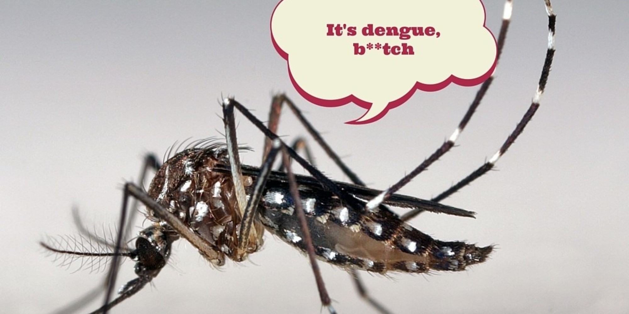 A Vexing Issue Finally Answered How To Pronounce Dengue HuffPost