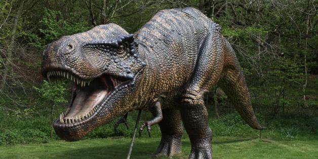 Dinosaur AdventureWeston Park, Lenwade, Norfolk, NR9 5JWGet ready for a great day, armed with your Adventurers' Guide, explore and play in 100 acres of woods and parkland, discovering the amazing world of the dinosaurs.⢠On arrival set off to explore the Dinosaur Trail ⢠Meet the animals and new Creepy Crawlies in the Secret Animal Garden, with educational activities ⢠Discover tribes and creatures on the Neanderthal Walk ⢠Lunch time with maybe some time to play in the Adve