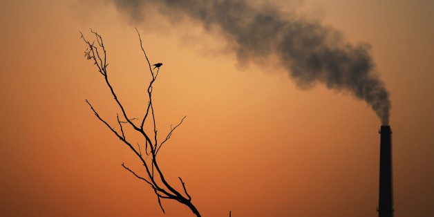 A crow sits on a dead tree and smoke emits from the chimney of a factory as the sun sets in New Delhi, India, Tuesday, Sept. 23, 2014. United Nations Secretary-General Ban Ki-Moon is challenging more than 100 world leaders at a climate summit to set a new course for a warming world and reverse the rise of heat-trapping gases. (AP Photo/Altaf Qadri)