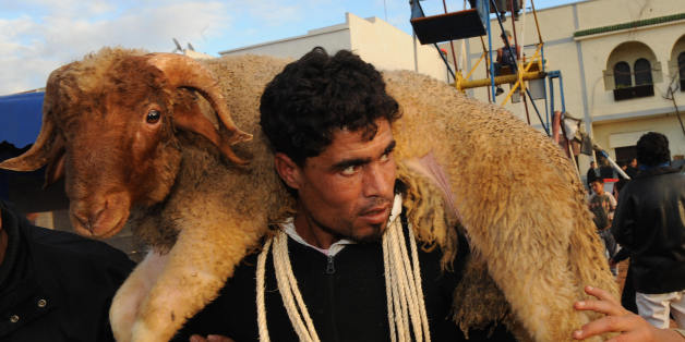A man carries a sheep on his shoulders a few days before the religious holiday, Aïd el-Kebir in Rabat on December 5, 2008. About five million sheep will be sacrificed in Morocco this year to mark Abraham's sacrifice. AFP PHOTO / ABDELHAK SENNA (Photo credit should read ABDELHAK SENNA/AFP/Getty Images)