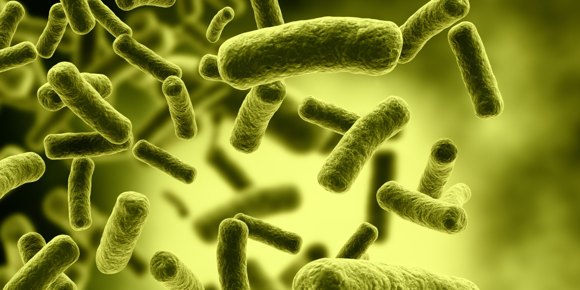 1-percent-human-99-percent-bacteria-huffpost