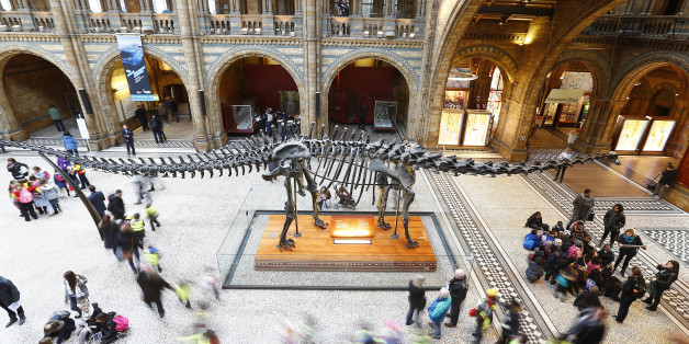 La fin des dinosaures ne serait pas seulement due à une météorite