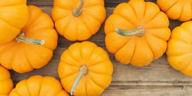 Overhead view of yellow pumpkins