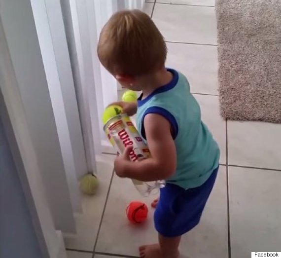 Toddler Continuously Tries And Fails To Put Away Tennis Balls, Shows Giving Up Is Never An