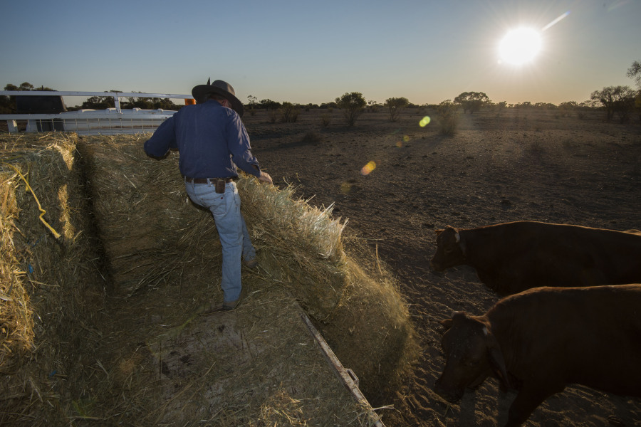longreach