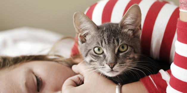 Girl (11-13) lying on bed, embracing cat, eyes closed, close-up