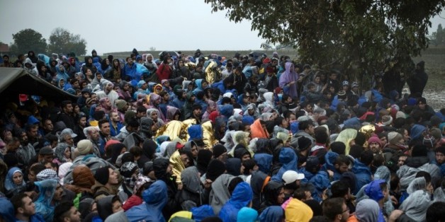 Des migrants attendent pour entrer sur le territoire de la Croatie, près du village serbe de Berkasovo, le 19 octobre 2015