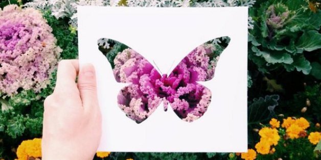 Des silhouettes en papier et la nature suffisent à cet artiste russe pour créer de magnifiques images