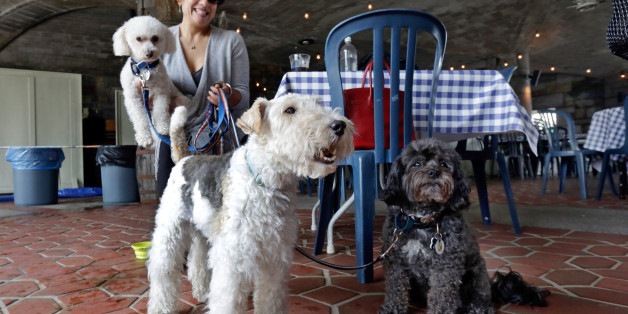 FILE - In this May 19, 2015 file photo, Michelle Vargas, with, from left, 8-year-old Bichon Frise-Poodle mix "Carmine," 11-year-old Wire Haired Terrier "Lucy," and 10-year-old Shih Tzu-Poodle mix "Luigi," visit a cafe in a Manhattan park, on New York's Upper West Side. New Yorkâs pooches will be able to venture onto restaurant patios under a new state law that will allow restaurants to open their outdoor dining areas to canine companions. The measure was signed into law late Monday, Oct. 2
