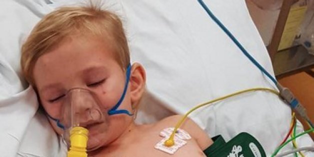 Millie im Krankenhaus