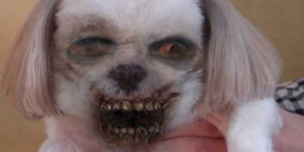 Mit der "ZombieBooth"-App können Sie jeden zum Zombie werden lassen.