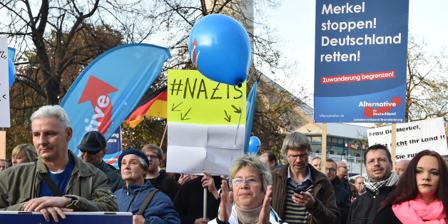 Auf diesem Bild einer AfD-Demonstration ist ein Fehler versteckt